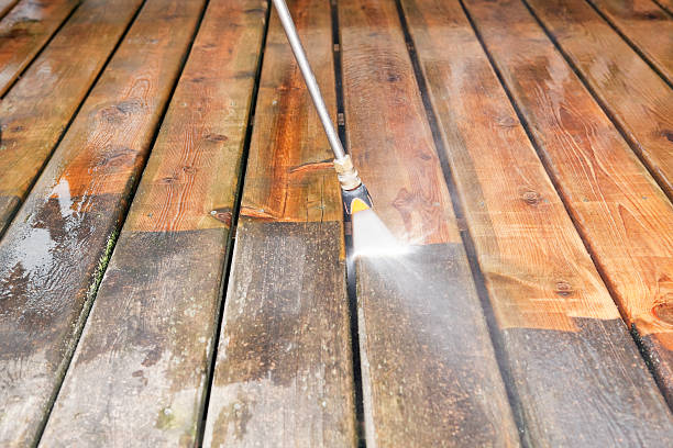 Best Sidewalk and Walkway Cleaning  in Horizon City, TX
